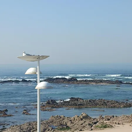 Cachinnans & Vandrarhem Vila do Conde