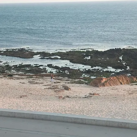 Cachinnans & * Vila do Conde