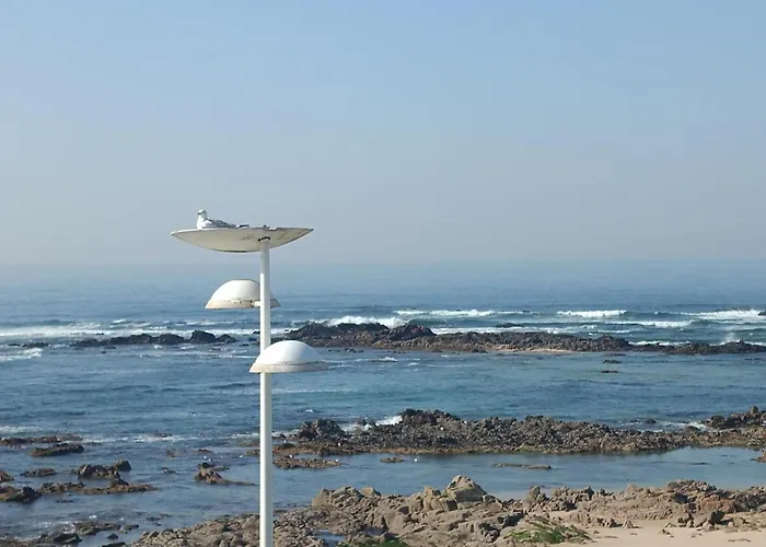 Cachinnans & Vandrarhem Vila do Conde