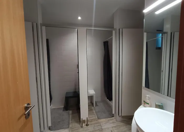 Cachinnans & Albergue