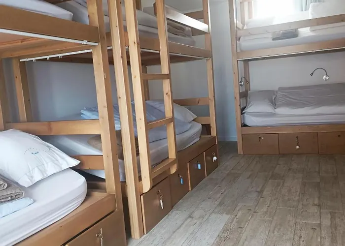 Cachinnans & * Vila do Conde