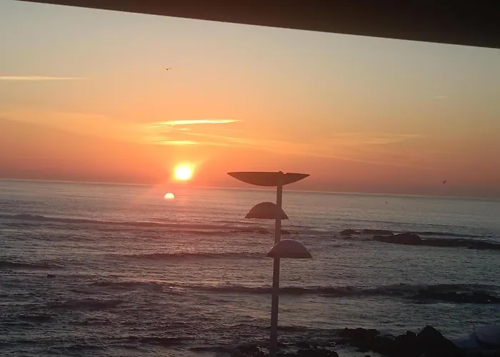 Cachinnans & Albergue *