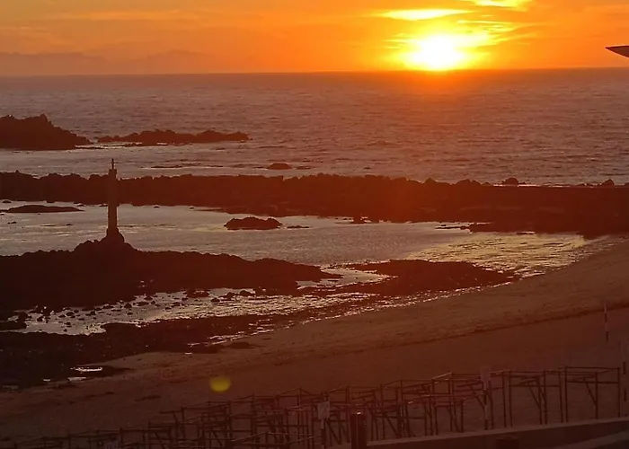 Cachinnans & * Vila do Conde